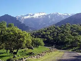 Shadegan road