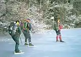 Tour skating(Individual)