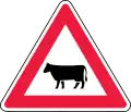 Animals e.g for cattle