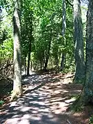 Woodland trail near the shore of Lake Ontario