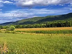 A ridgeline in Leroy Township