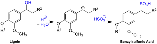 Generalized structure of lignosulfonates