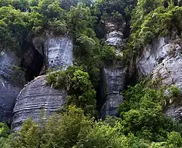 a narrow track through native bush along a river