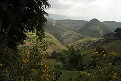 View of a cultivated area from a road in Lincang