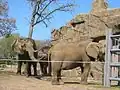 Former elephant exhibit