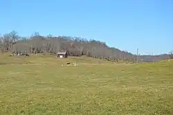 Fields on Big Oak Road