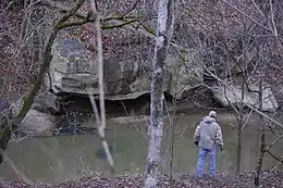 Log boom at Gill, WV