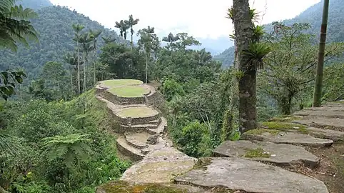 Ciudad Perdida is a major settlement believed to have been founded around 800 CE. It consists of a series of 169 terraces carved into the mountainside, a net of tiled roads and several small circular plazas. The entrance can only be accessed by a climb up some 1,200 stone steps through dense jungle.