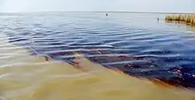 BP oil spill (2010)