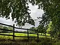 Looking towards the Louth golf course from the path.