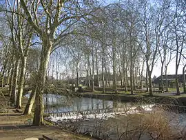 Luy de Béarn