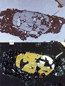 Lathwork volcanic lithic fragment, scale in millimeters.  Top picture in plane-polarized light, bottom picture in cross-polarized light.