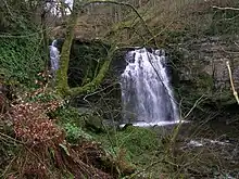 Lynn Spout on the Caaf Water; illustrating the thick limestone deposits in this area