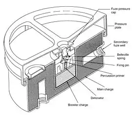 Cross-sectional view of an M4 mine showing the detonator and adjacent booster charge surrounded by the main explosive charge of TNT