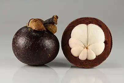 Photograph of a whole mangosteen fruits, and one partially peeled to show the horizontal cross section which reveals the white internal flesh divided into seven sections.