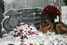 Lex at Lee's grave