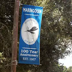 Centennial banner