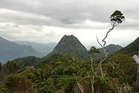 View of a mountain summit with lush vegetation