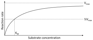 A two dimensional plot of substrate concentration (x axis) vs. reaction rate (y axis).  The shape of the curve is hyperbolic.  The rate of the reaction is zero at zero concentration of substrate and the rate asymptotically reaches a maximum at high substrate concentration.