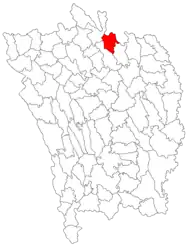 Location in Vaslui County