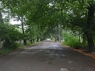 Forested road in Mincivan