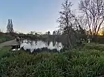 View from the boardwalk in the northeastern corner with reeds in the foreground