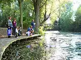 Hall's Pool in Milton Country Park