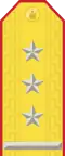 Mongolia (хурандаа)