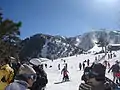 Skiers at Mt. Baldy