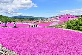 Chausuyama Plateau