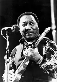 Muddy Waters performing in 1976