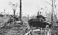 Light tanks supporting infantry action near Bibilo Hill. Munda, New Georgia, August 1943.