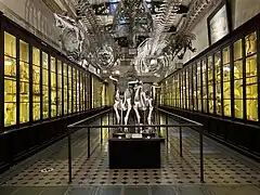 Hall of Comparative Osteology