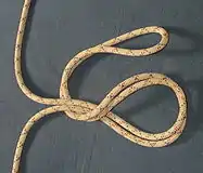 Tie a figure of eight on the bight