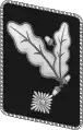 NSKK gorget patch