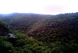 Nallamalla hills on rainy day near Atmakur