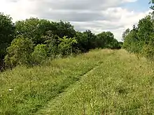 Narborough Railway Line