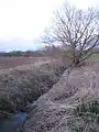 The brook at Žigárd