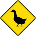 (W18-3.7) Watch for animals (ducks)