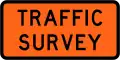 (TW-2.12) Traffic Survey