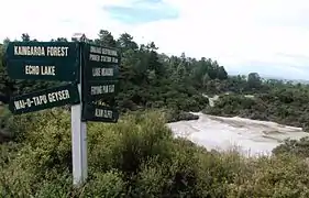 Lake Ngakoro