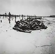 Victims of the famine in Buzuluk, next to Samara