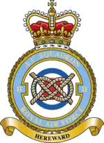 Squadron badge