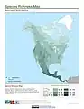 Species richness map (mammals)