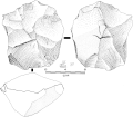 Centripetal lithic core