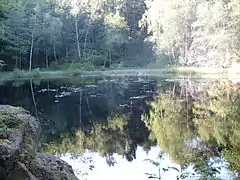 A pond at Odderøya