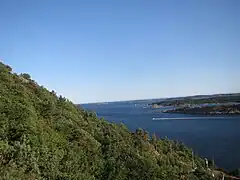 Hillside facing west at Odderøya