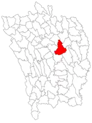 Location in Vaslui County