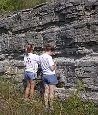 Outcrop of Upper Ordovician limestone and minor shale, central Tennessee