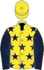 Yellow, dark blue stars and sleeves, yellow cap